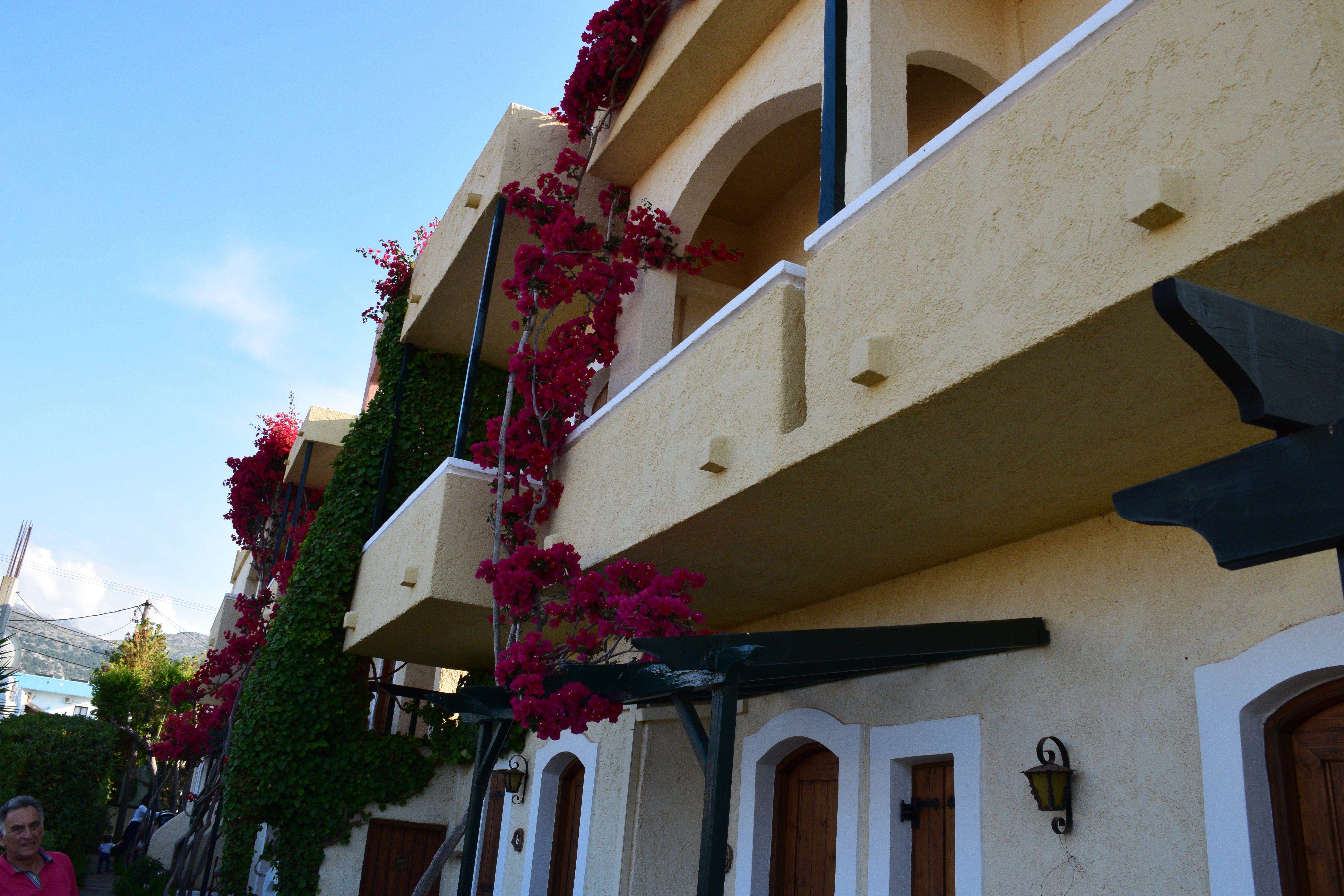 Mila Malia Studios Hotel Ngoại thất bức ảnh